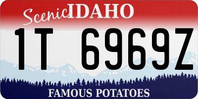 ID license plate 1T6969Z