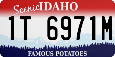 ID license plate 1T6971M