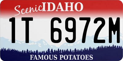 ID license plate 1T6972M