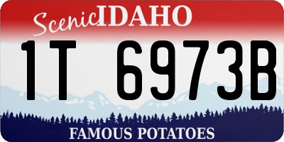 ID license plate 1T6973B
