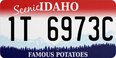 ID license plate 1T6973C