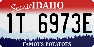 ID license plate 1T6973E