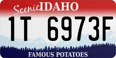 ID license plate 1T6973F