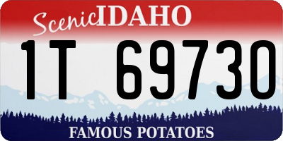 ID license plate 1T6973O