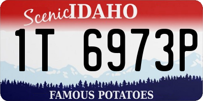 ID license plate 1T6973P