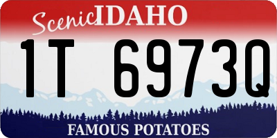 ID license plate 1T6973Q