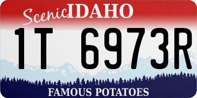 ID license plate 1T6973R