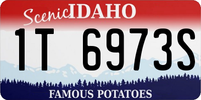 ID license plate 1T6973S