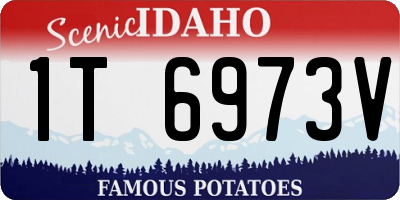 ID license plate 1T6973V
