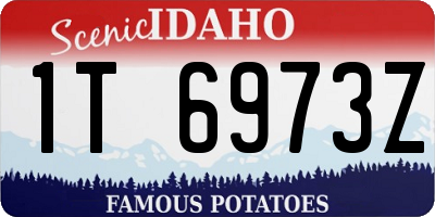 ID license plate 1T6973Z
