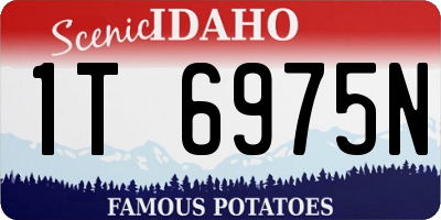 ID license plate 1T6975N