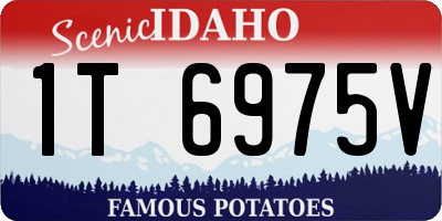 ID license plate 1T6975V