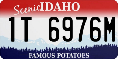 ID license plate 1T6976M