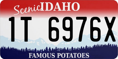 ID license plate 1T6976X