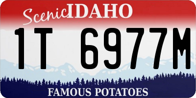 ID license plate 1T6977M