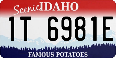 ID license plate 1T6981E
