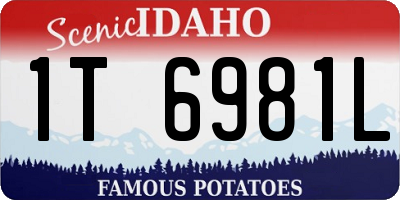 ID license plate 1T6981L