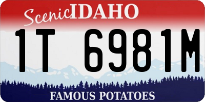 ID license plate 1T6981M