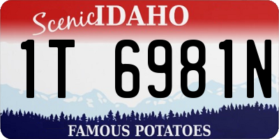 ID license plate 1T6981N