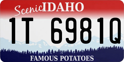 ID license plate 1T6981Q