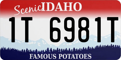 ID license plate 1T6981T