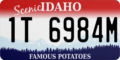 ID license plate 1T6984M