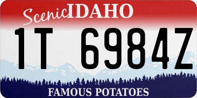 ID license plate 1T6984Z
