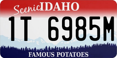 ID license plate 1T6985M