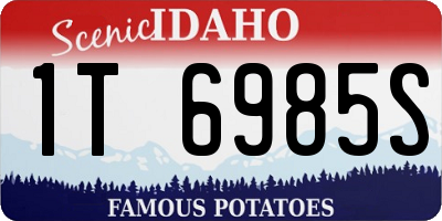 ID license plate 1T6985S
