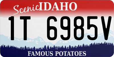 ID license plate 1T6985V