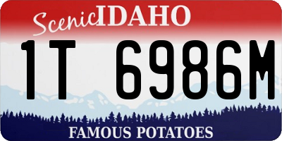 ID license plate 1T6986M