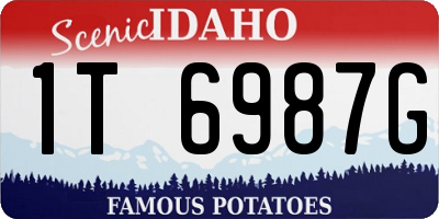 ID license plate 1T6987G
