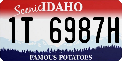ID license plate 1T6987H