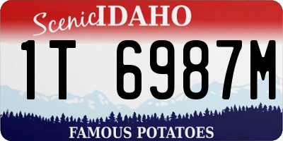 ID license plate 1T6987M