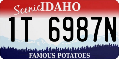 ID license plate 1T6987N
