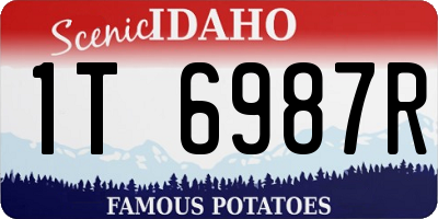 ID license plate 1T6987R