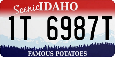 ID license plate 1T6987T