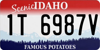 ID license plate 1T6987V