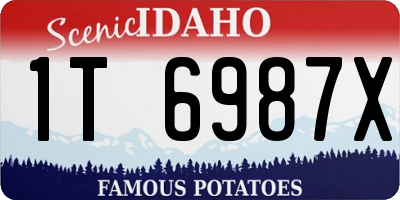 ID license plate 1T6987X