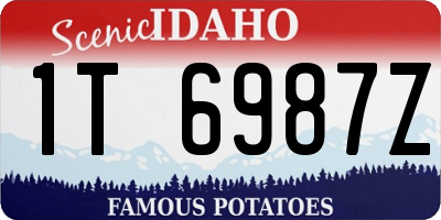 ID license plate 1T6987Z