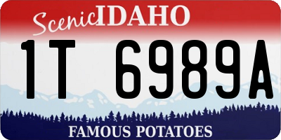 ID license plate 1T6989A