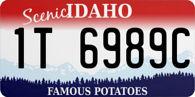 ID license plate 1T6989C