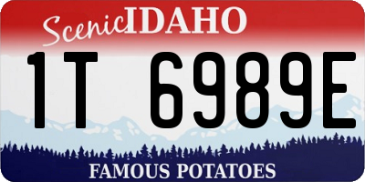 ID license plate 1T6989E