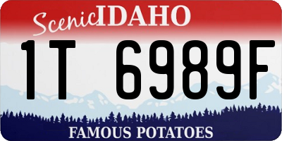 ID license plate 1T6989F