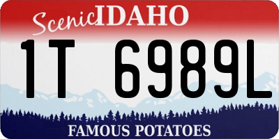ID license plate 1T6989L