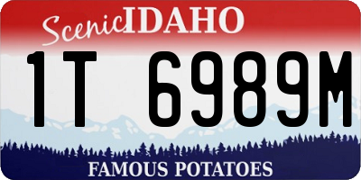 ID license plate 1T6989M
