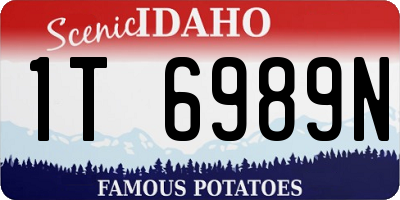 ID license plate 1T6989N