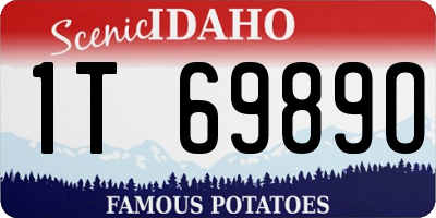 ID license plate 1T6989O