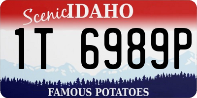 ID license plate 1T6989P
