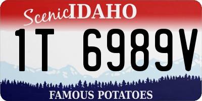 ID license plate 1T6989V